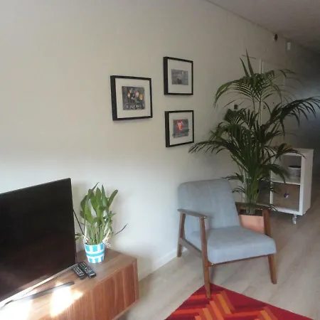 Apartment Like Ii